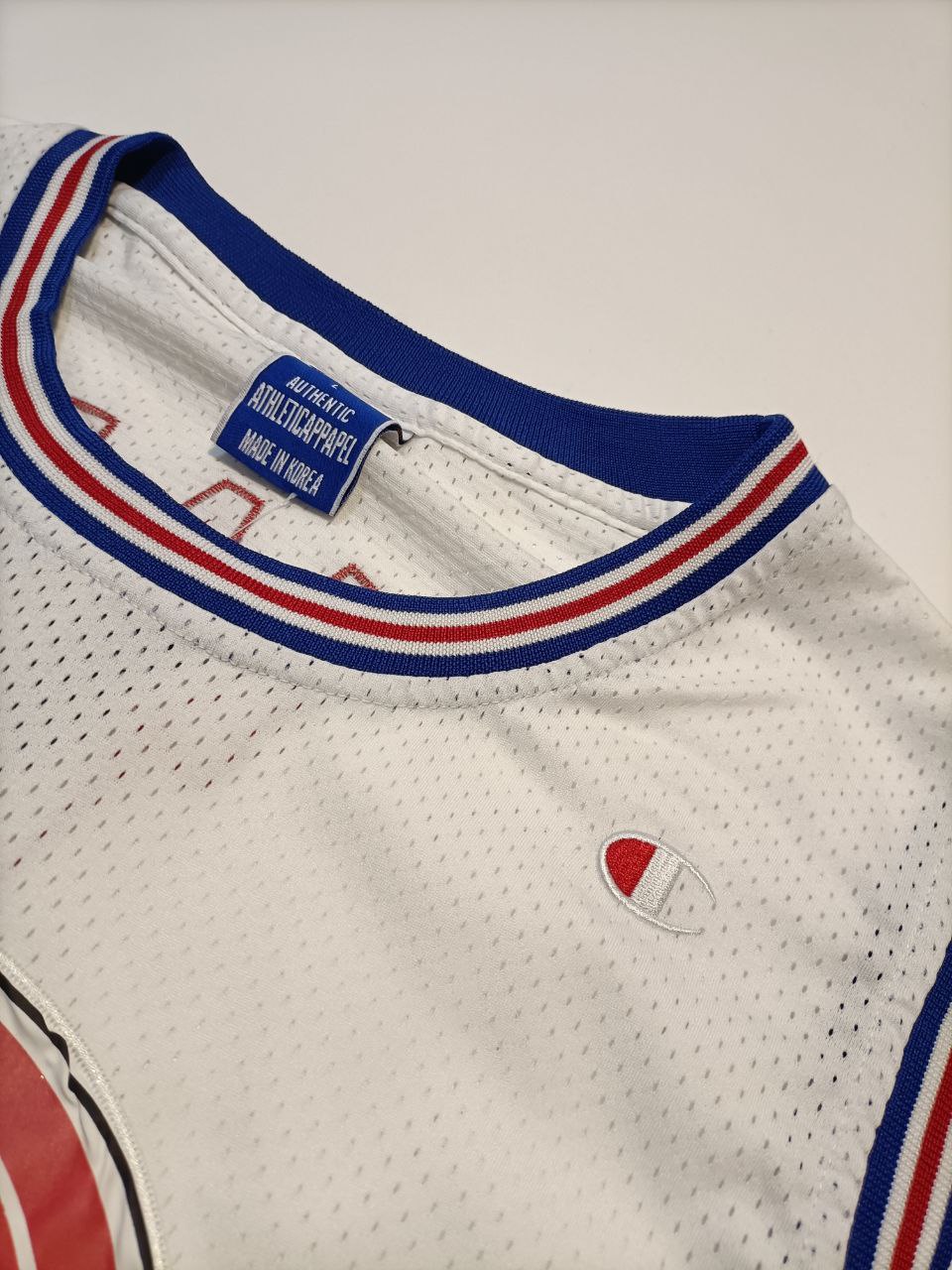 Champion Canotta Tunes Squad TAZ Jersey Vintage Uomo/Donna ( L )
