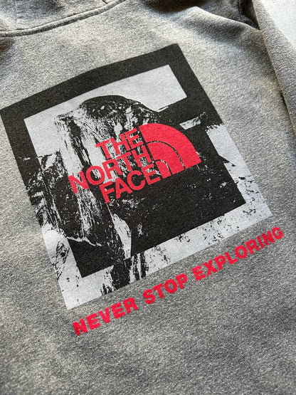 The North Face Felpa Cappuccio Logo Stampato Hoodie Uomo/Donna (M)