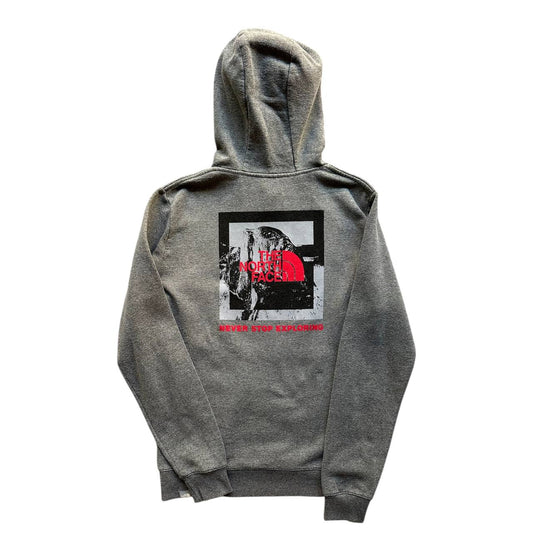 The North Face Felpa Cappuccio Logo Stampato Hoodie Uomo/Donna (M)