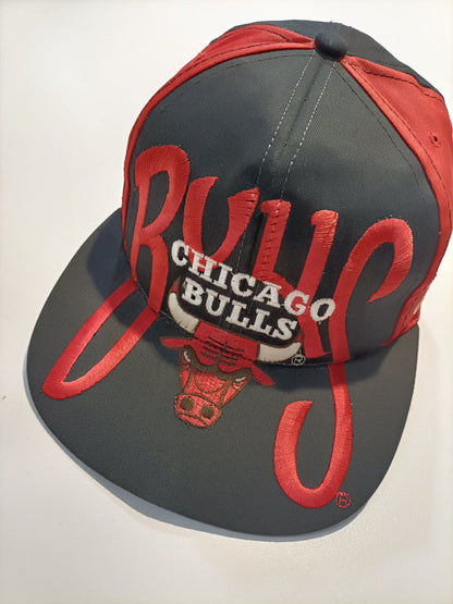 Chicago Bulls Cappello Signatures Vintage USA Big Logo Uomo Donna